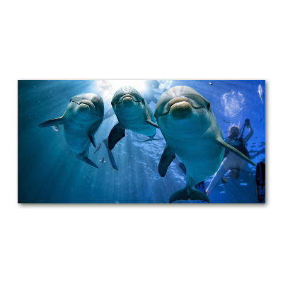 Wall art acrylic Three dolphins