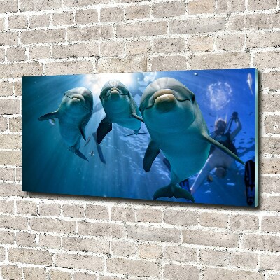 Wall art acrylic Three dolphins