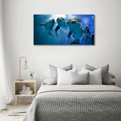 Wall art acrylic Three dolphins