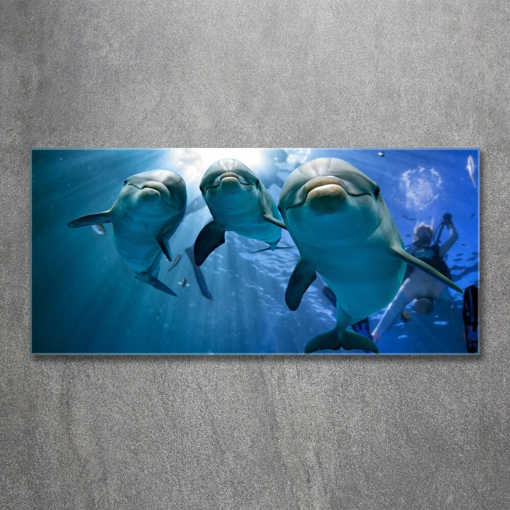 Wall art acrylic Three dolphins