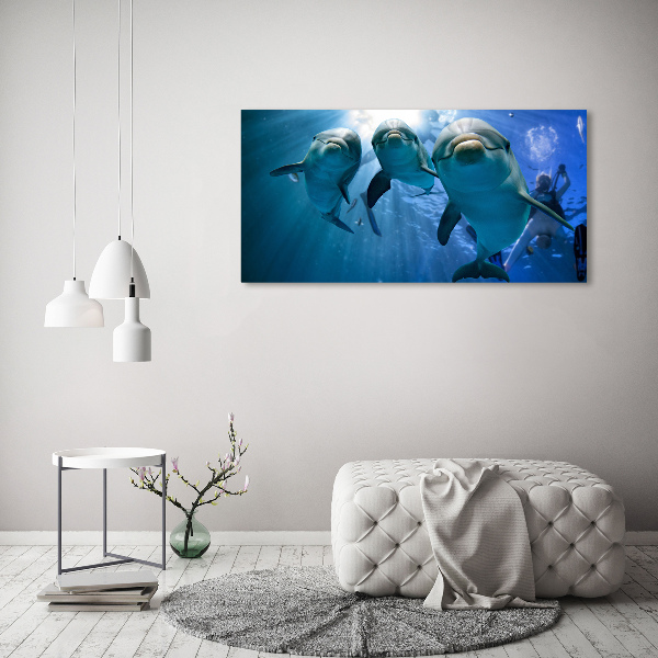 Wall art acrylic Three dolphins