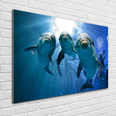 Wall art acrylic Three dolphins