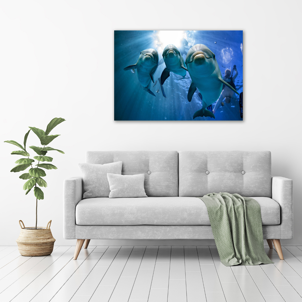 Wall art acrylic Three dolphins