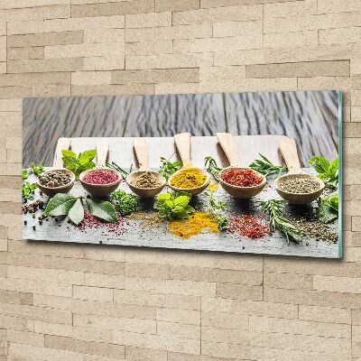 Acrylic wall art Colorful spices