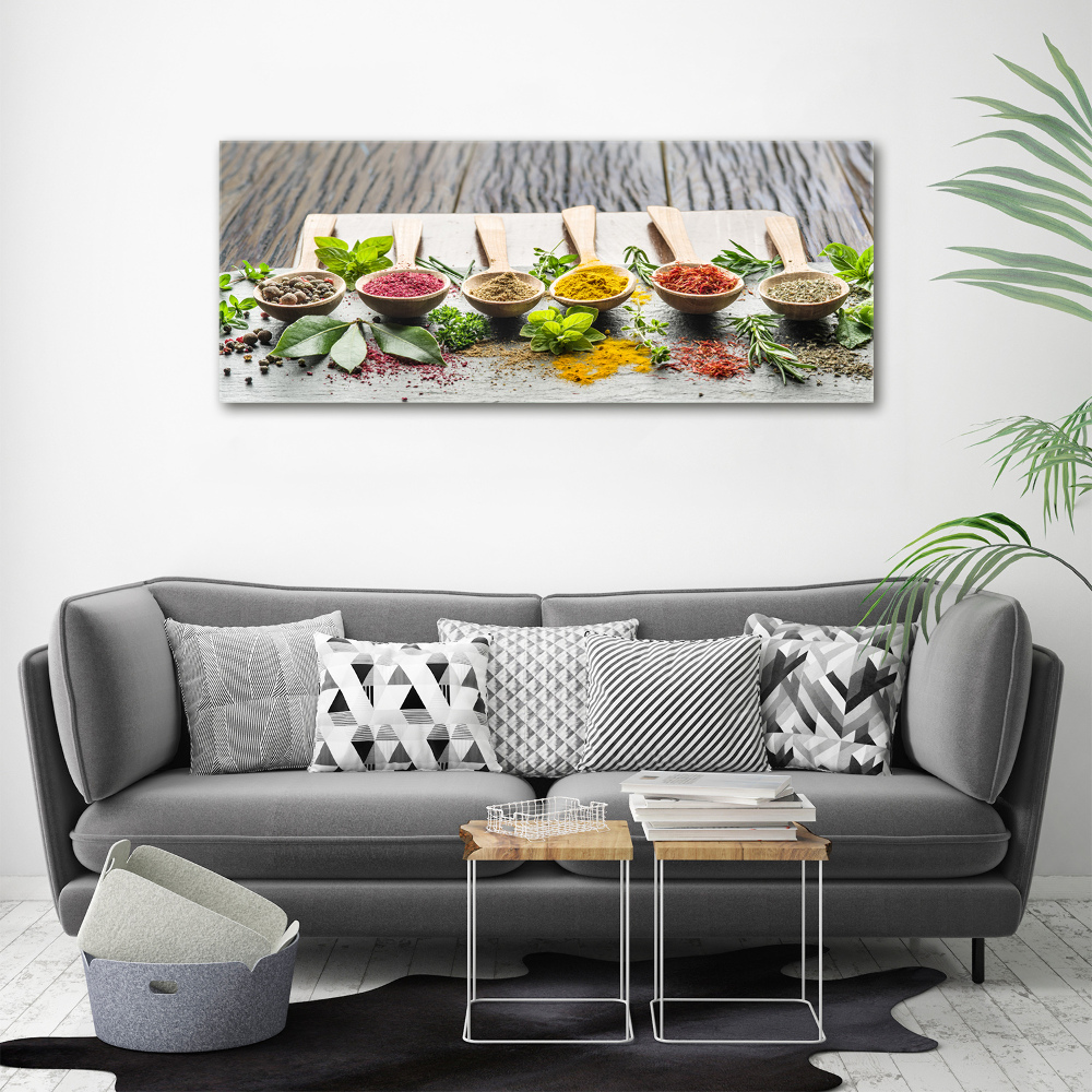 Acrylic wall art Colorful spices