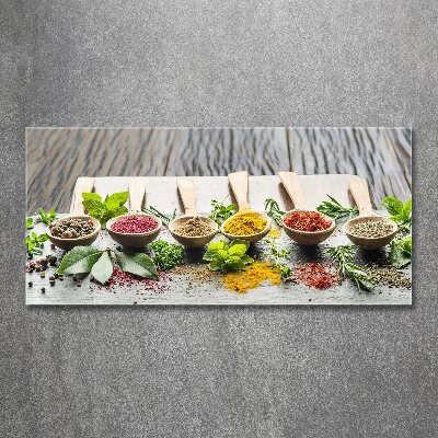 Acrylic wall art Colorful spices