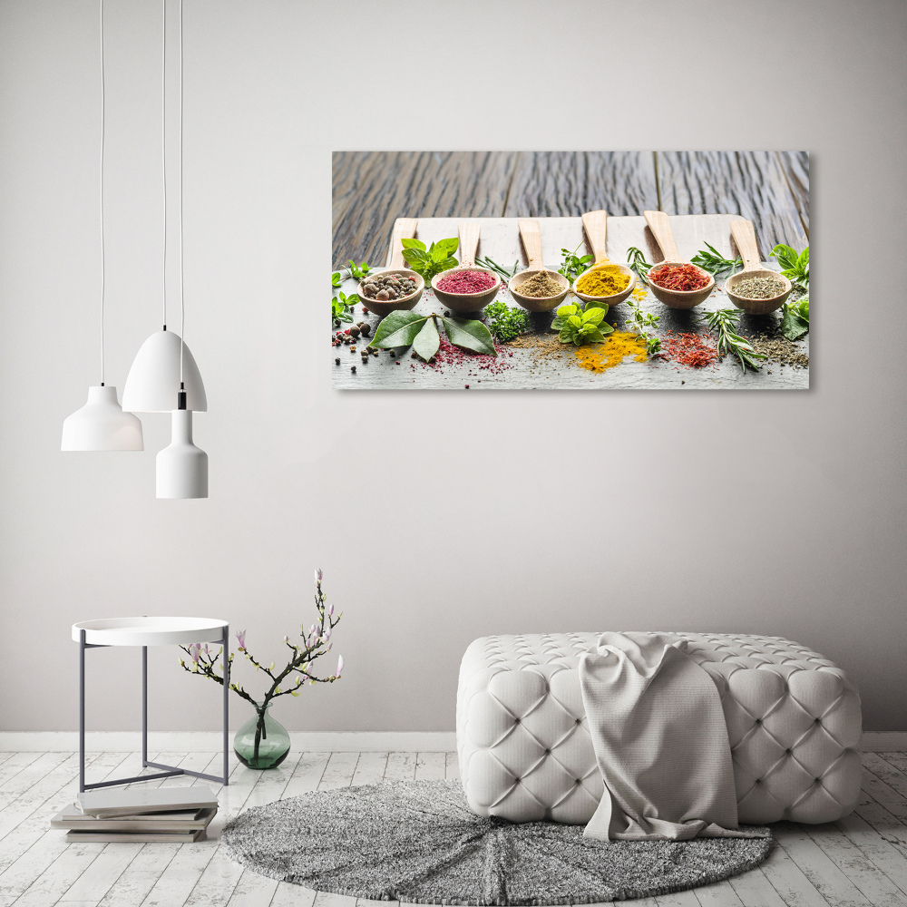 Acrylic wall art Colorful spices