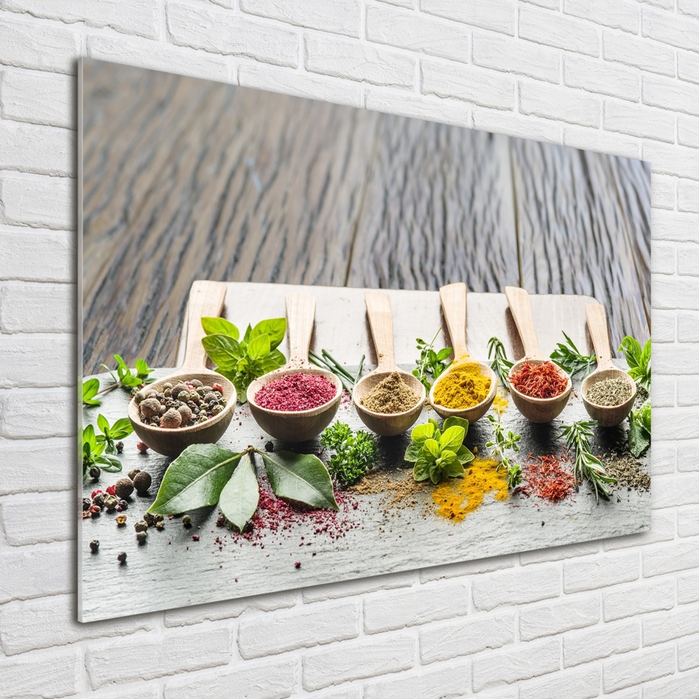 Acrylic wall art Colorful spices