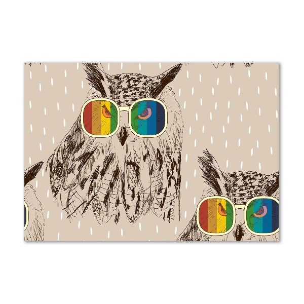 Print on acrylic Owls with glasses