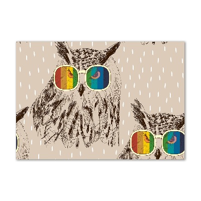 Print on acrylic Owls with glasses