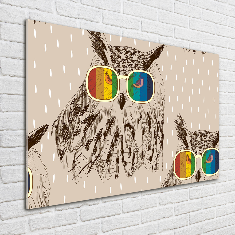 Print on acrylic Owls with glasses