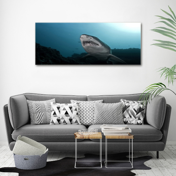 Print on acrylic Large shark