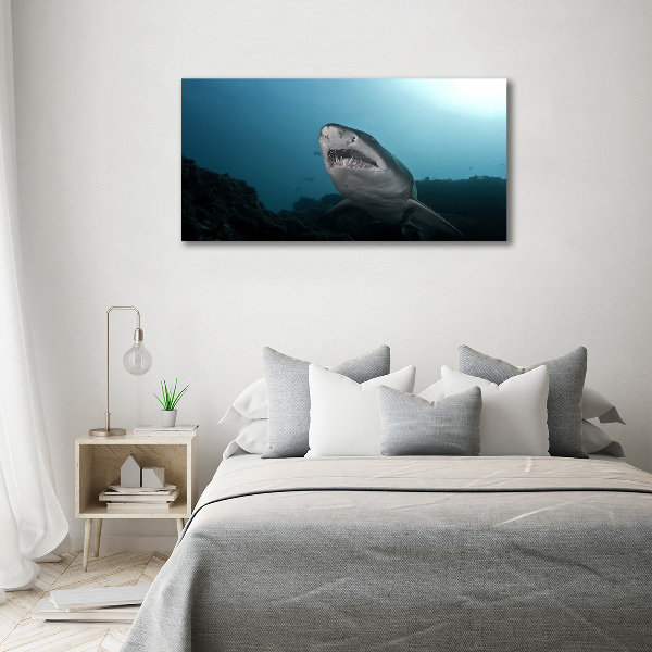 Print on acrylic Large shark