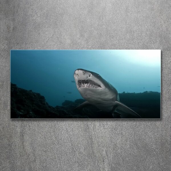 Print on acrylic Large shark