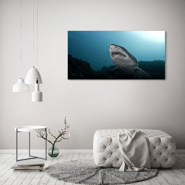 Print on acrylic Large shark