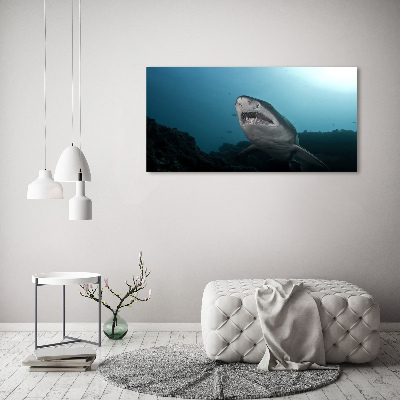 Print on acrylic Large shark