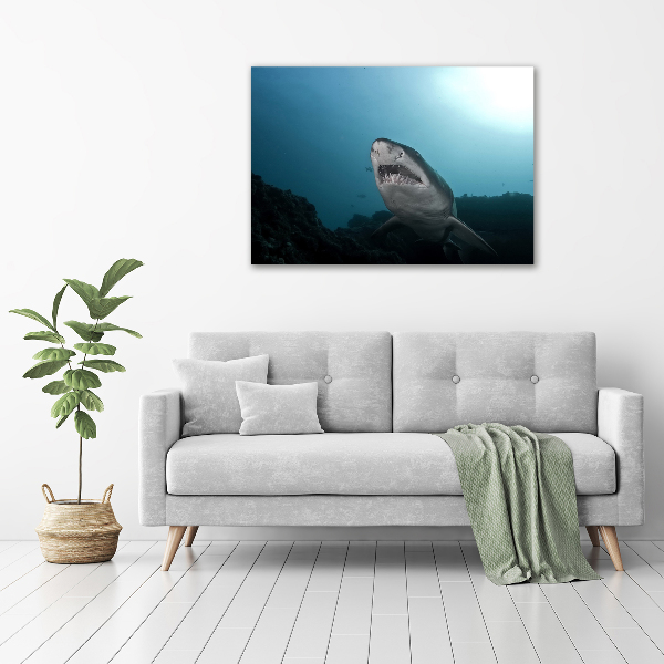 Print on acrylic Large shark