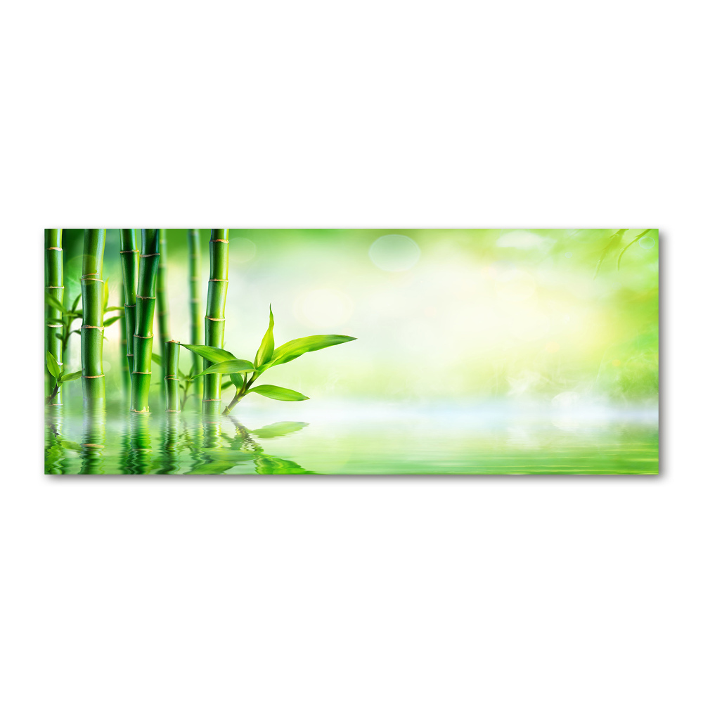 Acrylic wall art Bamboo