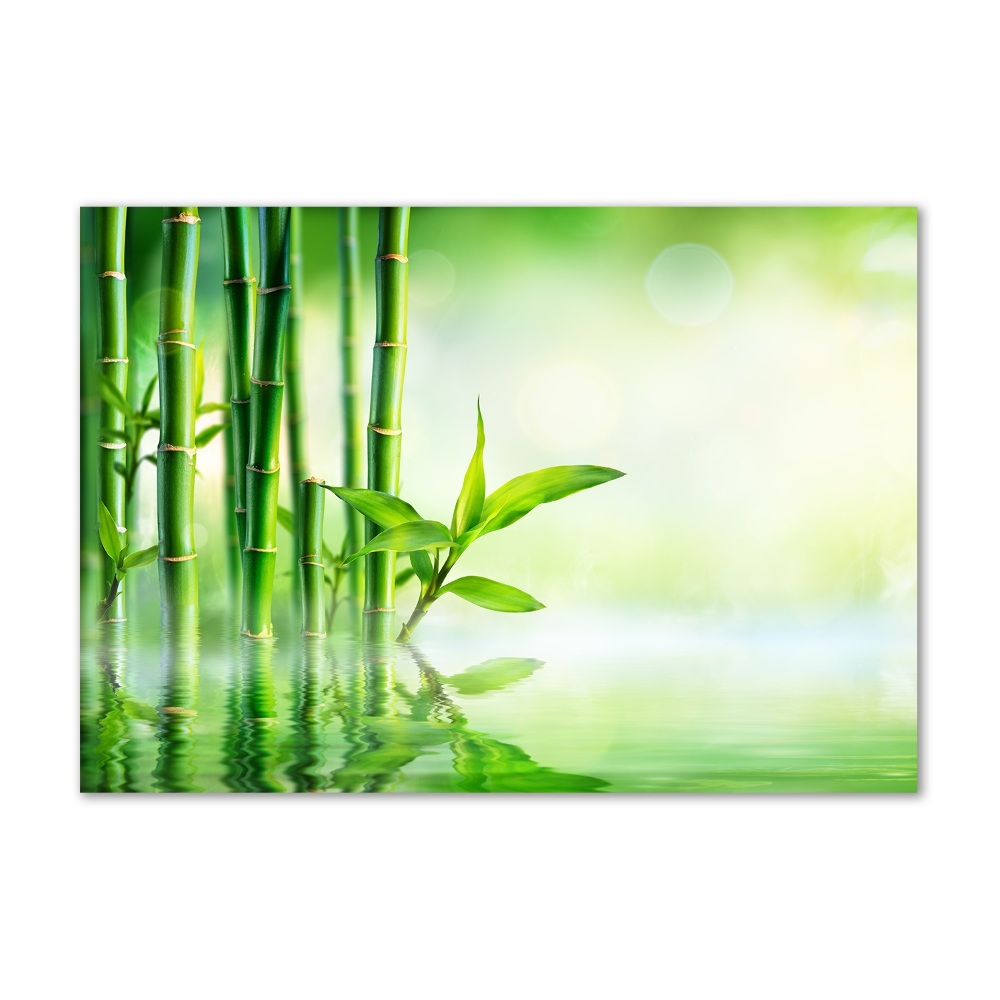 Acrylic wall art Bamboo