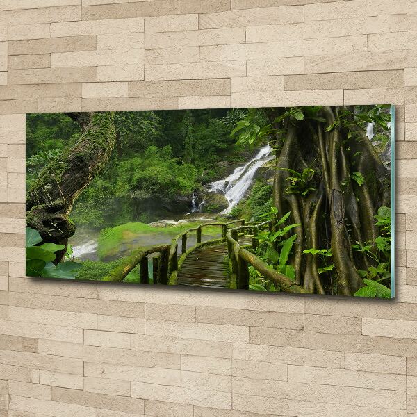 Print on acrylic Waterfall in the jungle