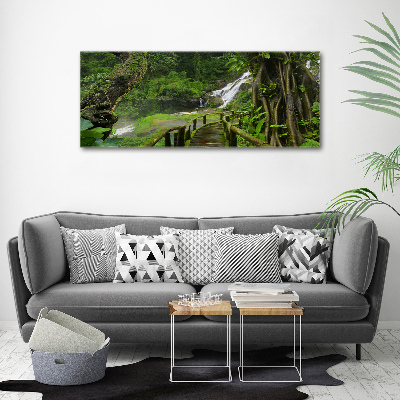 Print on acrylic Waterfall in the jungle