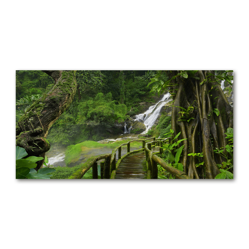 Print on acrylic Waterfall in the jungle