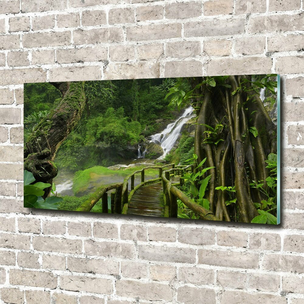 Print on acrylic Waterfall in the jungle