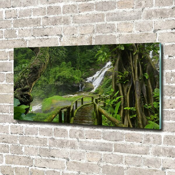 Print on acrylic Waterfall in the jungle