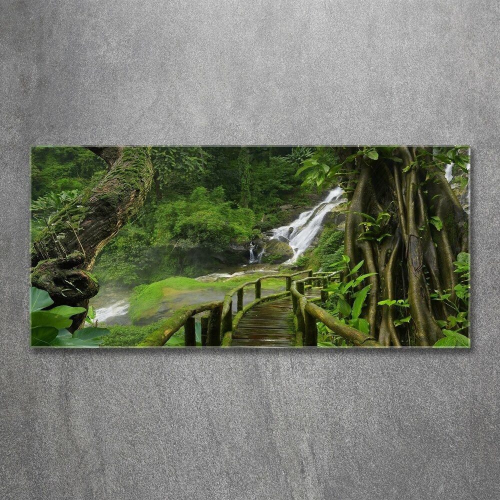 Print on acrylic Waterfall in the jungle