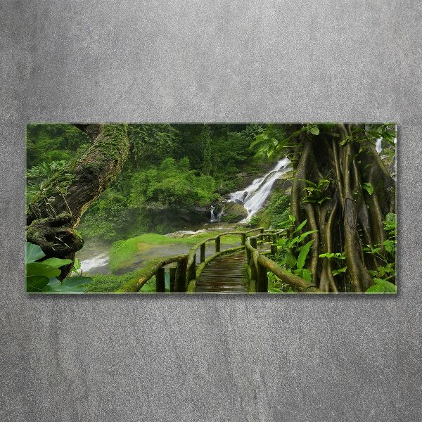 Print on acrylic Waterfall in the jungle