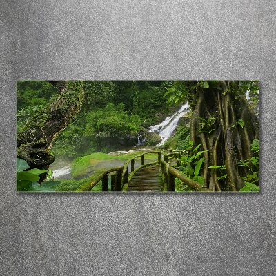 Print on acrylic Waterfall in the jungle