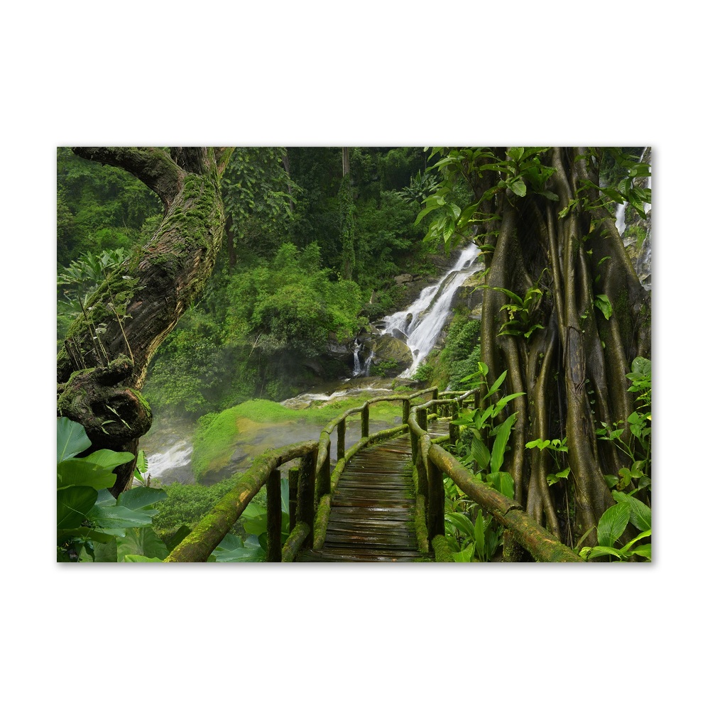 Print on acrylic Waterfall in the jungle