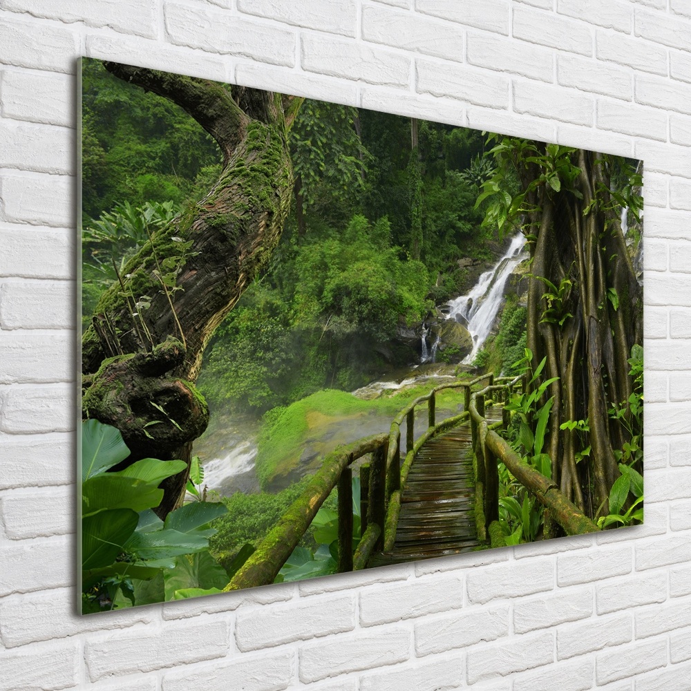 Print on acrylic Waterfall in the jungle