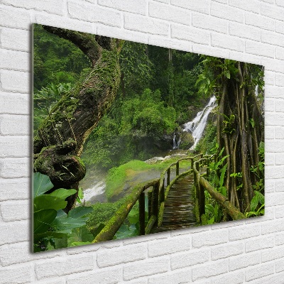 Print on acrylic Waterfall in the jungle