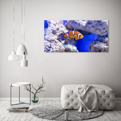 Print on acrylic Coral reef clowns