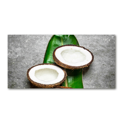 Wall art acrylic Coconut halves