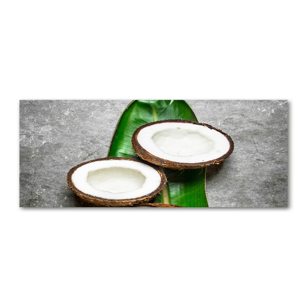 Wall art acrylic Coconut halves