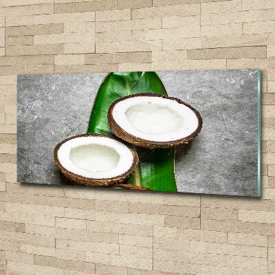 Wall art acrylic Coconut halves