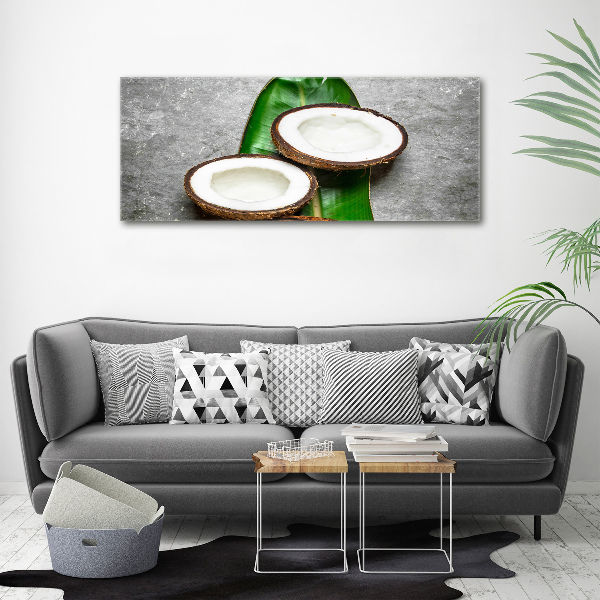 Wall art acrylic Coconut halves