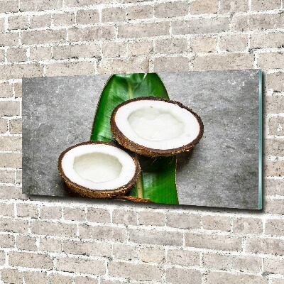 Wall art acrylic Coconut halves