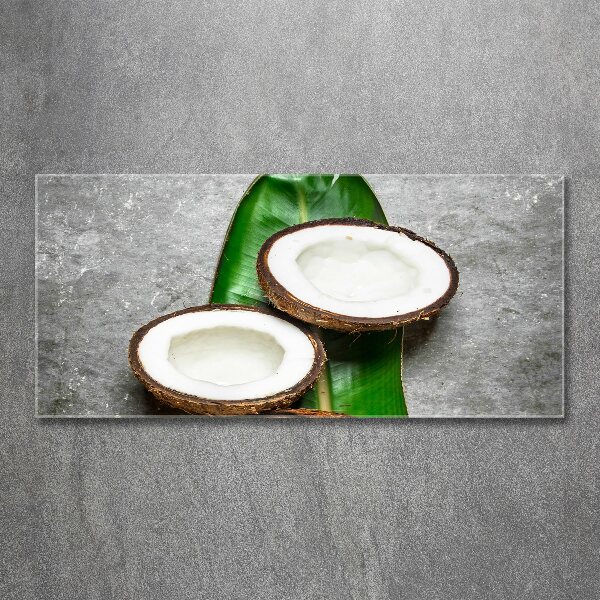 Wall art acrylic Coconut halves