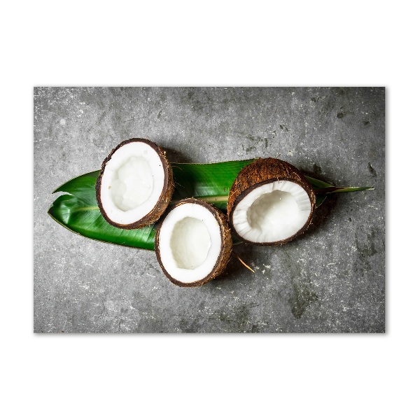 Wall art acrylic Coconut halves