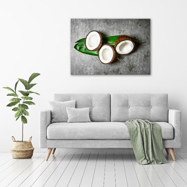 Wall art acrylic Coconut halves