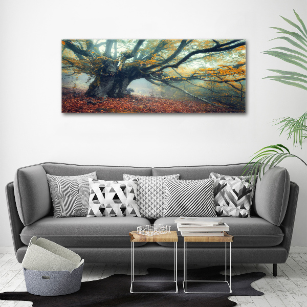 Acrylic print Old tree