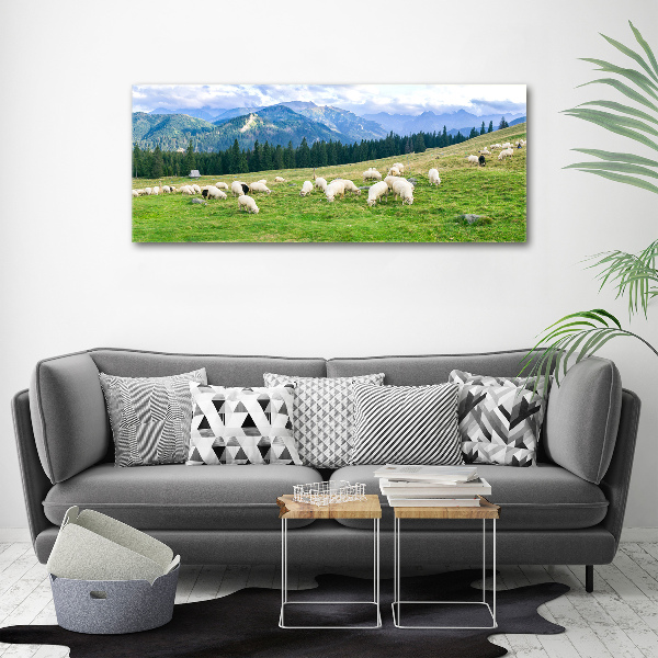 Print on acrylic Sheep in the Tatra Mountains