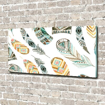 Wall art acrylic Ethnic feathers