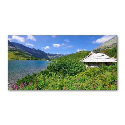 Acrylic wall art House in the Tatra Mountains