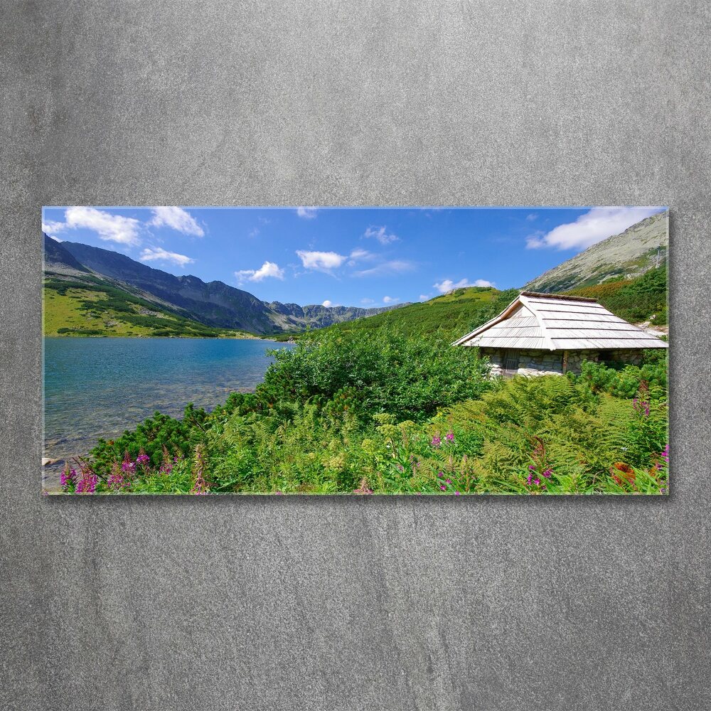 Acrylic wall art House in the Tatra Mountains