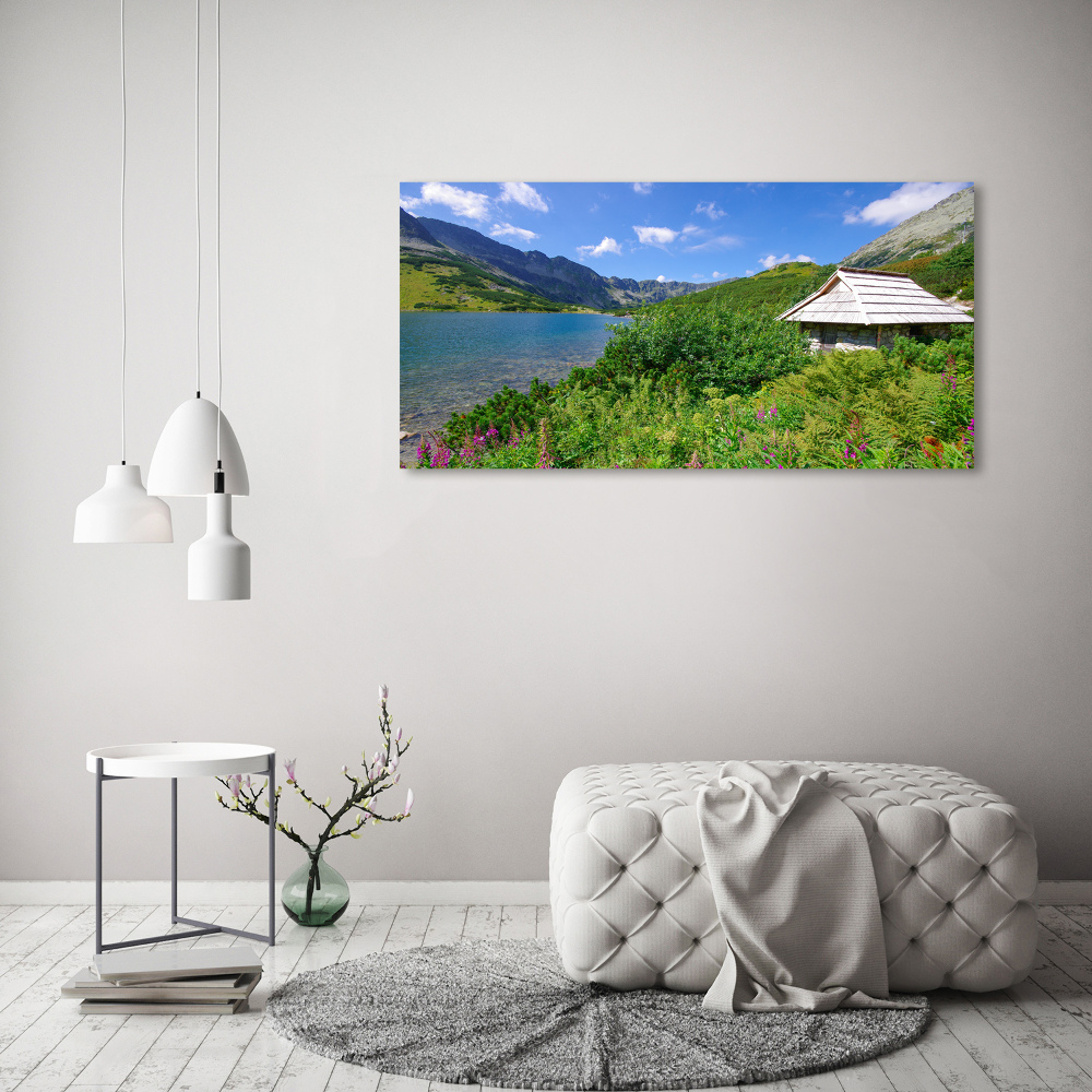 Acrylic wall art House in the Tatra Mountains