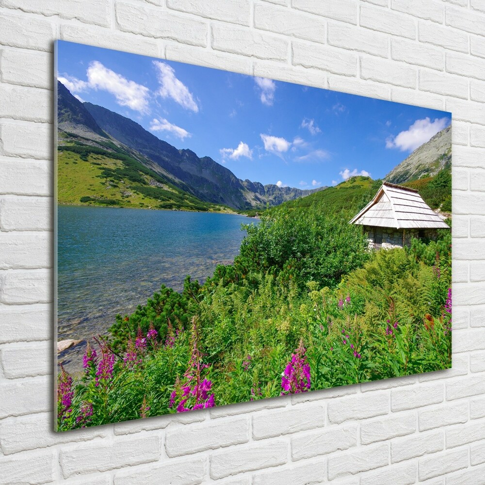 Acrylic wall art House in the Tatra Mountains